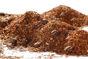 TEA FLAVORS ROOIBOS LATTE MACCHIATO